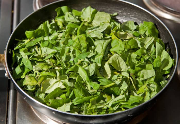  spinach recipe 